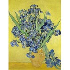 Van Gogh Irises Painting Large Wall Art Print 18X24 In