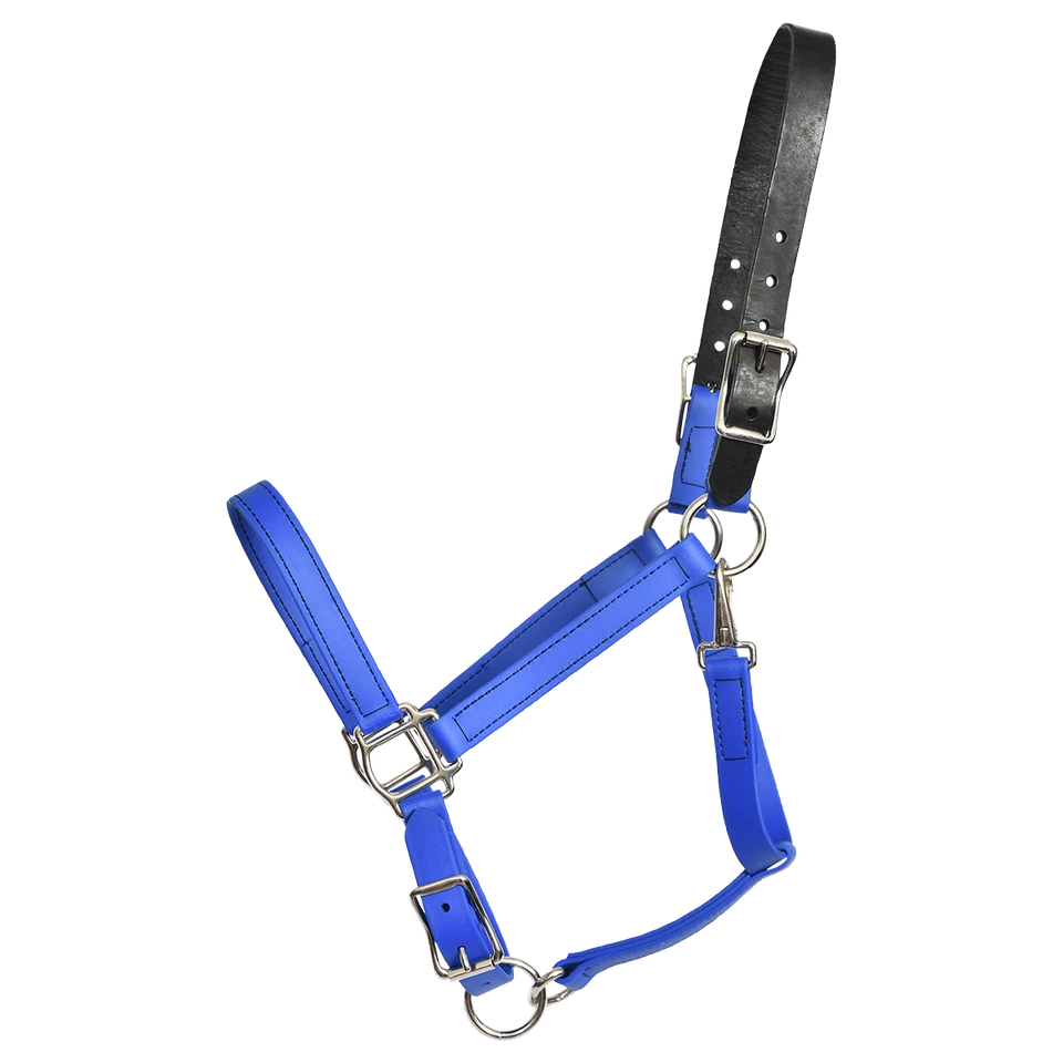 PFERDEGRÖSSE - FERTIG - royalblaues WEIDEHALFTER aus BETA BIOTHANE - Bild 1 von 1