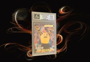 David Seaman 1996 Merlin's Soccer Premied Gold No.006/161 ACG9.5