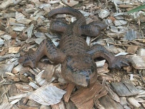 Cast Iron Lizard Ornament Figurine Decoration - Picture 1 of 9