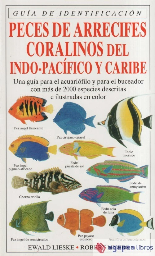 PECES DE ARRECIFES CORALINOS DEL INDO-PACÍFICO Y CARIBE. NUEVO. ENVÍO URGENTE - Imagen 1 de 1