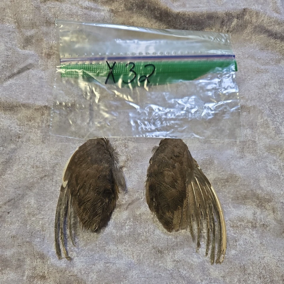 1 комплект перепелиных крыльев - x32 - Изображение 1 из 1