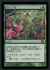 ***1x FOIL Chinese Fertile Ground*** MTG 8th Edition -Kid Icarus-