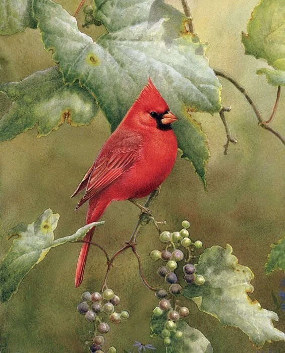 35" Digital Fabric Panel - David Textiles Red Cardinal Orchard Vineyard Scene - Image 1 of 1