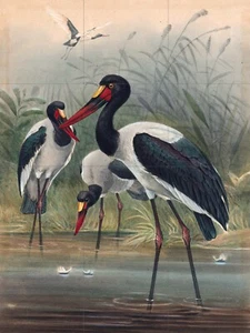 Pannello ceramica mosaico della cicogna dal becco a sella, lupo backsplash piastrelle arte murale - Foto 1 di 4