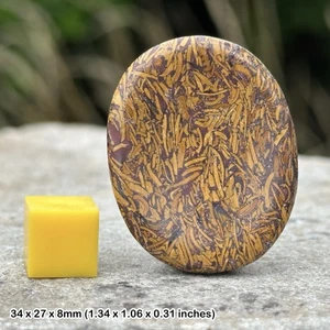 Certified miriam palm worry thumb stone, genuine spiritual healing crystal - Picture 1 of 1