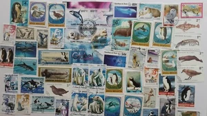 Polar Animals on Stamps Collection - 50 & 100 Different Stamps  - Picture 1 of 1