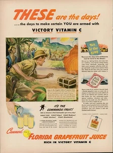 1944 Florida Citrus Commission 1940s Vintage Print Ad Grapefruit Juice Army C - Picture 1 of 9
