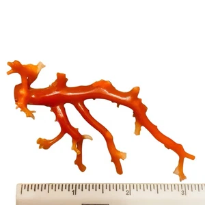 "Antiguo broche vintage victoriano decorativo sangre de buey rama coral plata prendedor 3,25""" - Imagen 1 de 6