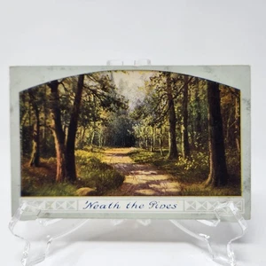 Antique Neath The Pines Postcard Woods Nature Path View Scenic Postcard Unposted - Picture 1 of 3