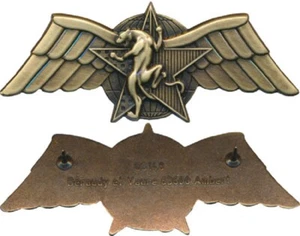 Brevet Combat de Choc, C.P.E.S,DGSE, bronze,recherche humaine Ber. GS 148(10100) - Picture 1 of 1