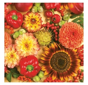 Napkins for Decoupage Paper Craft Serviettes Currant Lunch 33x33cm 3PLY 20 Pack - Picture 1 of 3