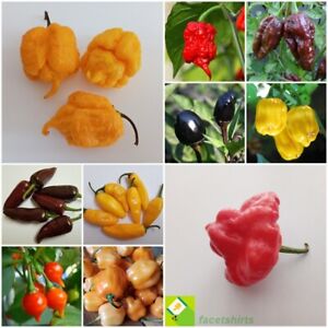 Peppers Seeds/Semillas - Carolina, Habanero, Cherry, Moruga, Aji - 20 Varieties