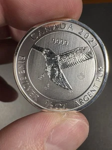 2021 Canda 1/2 oz Silver Bullion Round .999 Pure Maple Leaf - Picture 1 of 2