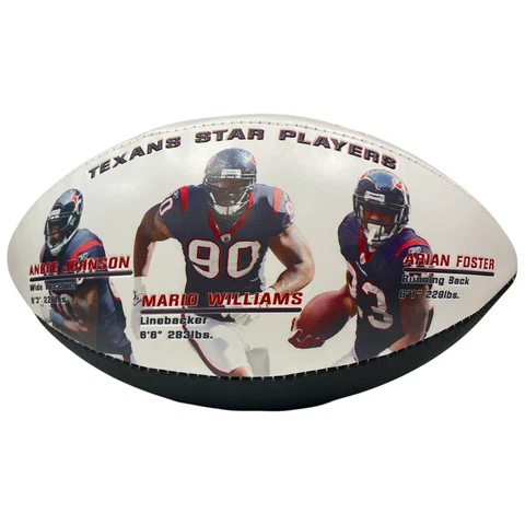 Houston Texans 2011 AFC South Division Champions Football Cover