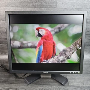 Dell E196FPb 19" Flat Screen TFT LCD VGA  Monitor 1280 x 1024 (5:4 Aspect) - Picture 1 of 8