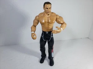 2011 WWE Mattel Shawn Michaels The Heartbreak Kid Wrestling Figure Black Silver - Picture 1 of 5