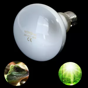 UVA + UVB Reptile Lampe Ampoule Tortue Cueillir UV Ampoules Lampe Chauffante - Bild 1 von 14