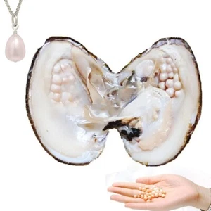 Perla Big Oyster Cultivada Agua Dulce Oval con 20 Perlas Interior 5-7mm Adorno Cuentas - Imagen 1 de 6