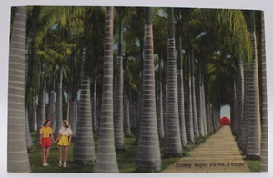 Stately Royal Palms, Florida, FL, Two Girls Holding Hands, 1957 Linen  Postcard - Picture 1 of 2