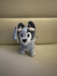 Bluey Friends Socks Small Plush Soft Toy New With Tags - Picture 1 of 4