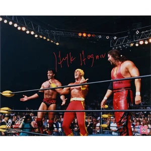 Hulk Hogan signiertes Foto authentisch 16" x 20" 1996 Bash at the Beach WWE - Bild 1 von 1
