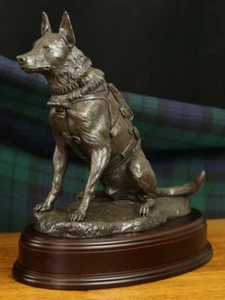 A4s Special Forces Belgian Malinois Dog - Ballantynes Statue - Bronze Finish 12" - Picture 1 of 10