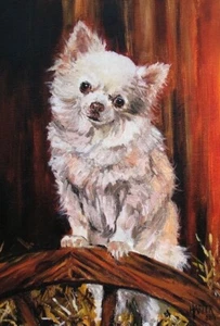 Chihuahua Signed Dog Print by Susan Harper Unmounted - Picture 1 of 2