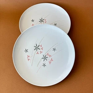 Franciscan 2 Dinner Plates HAPPY TALK Whitestone Ware Early 1960s - Picture 1 of 9