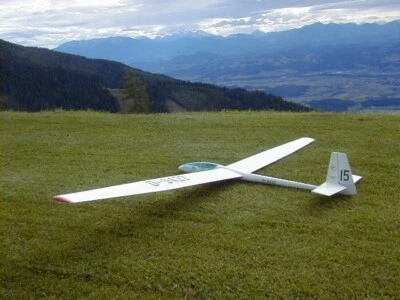 Cirrus Sailplane 118" Wingspan RC Model Airplane Printed Plans & Templates - Image 1 of 3
