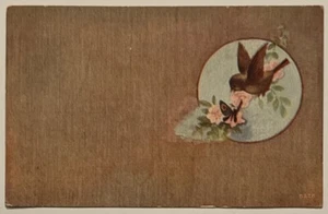 Bird Butterfly Pink Roses Antique 1910s Postcard - Picture 1 of 2
