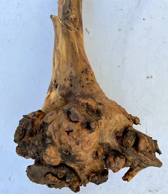 Коряги рутбол - Изображение 1 из 4