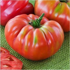 Tomato (German Johnson) 190+ Seeds Instructions Included x - Picture 1 of 5