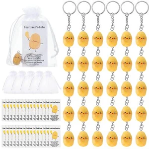 Positive Inspirational Potato Keychain Employee Appreciation Gift Mini Potato... - Picture 1 of 6