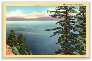 Postkarte: NV Lake Tahoe Thru The Pines, Lake Tahoe, Nevada - unbesendet - Bild 1 von 2
