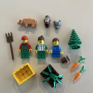Lego City Minifigure Farm Lot B  - Farmer Family / Pig / Accessories - Picture 1 of 2