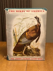 RARE 1953 The Birds of America AUDUBON Illustrated Art HC Dust Jacket 435 Plates - Bild 1 von 16