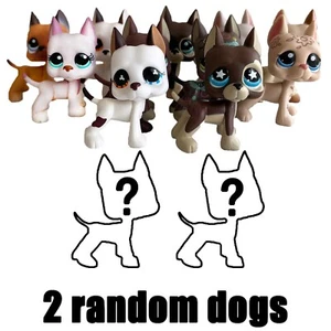 2 Stück Littlest Pet Shop Spielzeug Wackelkopf Dogge Hunde Mädchen Gen 3 kleine Haustiere - Bild 1 von 7