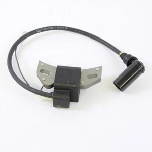 Bobina de encendido Lombardini para IM350 - IM300 - IM250 - Serie IM - Imagen 1 de 1