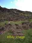 Photo 6X4 Burnt Heather On Y Gyrn Bryn Bwbach There Are Several Small Hea C2006
