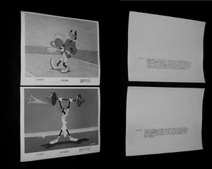 Orig Walt Disney Productions TENNIS RACQUET & GOOFY GYMNASTICS Price Is For 1 - Picture 1 of 3