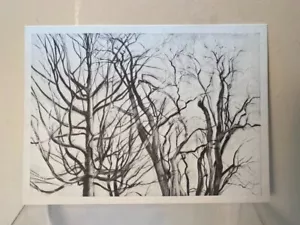 Sylvia Plimack Mangold 1992 Kunstausstellung Ankündigung Galeriekarte Heuschrecke Baum - Bild 1 von 2