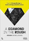A diamond in the rough, Steven Van Belleghem,  Pap