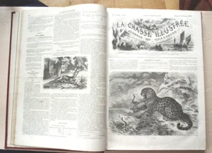 Reliure La Chasse Illustrée Année 1878 Nombreuses Gravures - Imagen 1 de 1