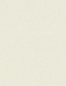 50 hojas de papel pergamino sintético - 8,5 x 11" certificado y papel de currículum (marfil) - Imagen 1 de 7