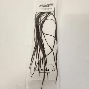 Fly Tying Hackle Whiting 100++ piume da sella taglie 10-20 Dark Dun - Foto 1 di 4
