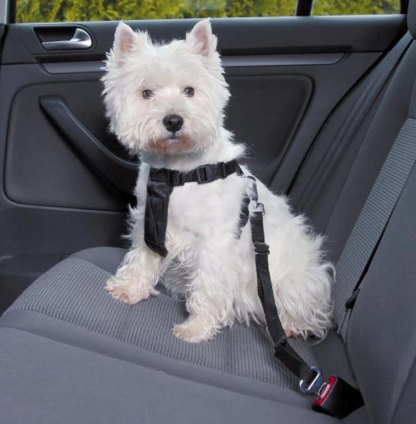 Trixie Car & Walking Dog Harness With Travel Seatbelt Lead XS 20 - 50 Cm