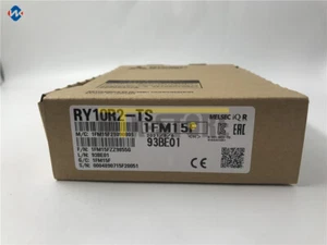 1PCS NEW BRAND MODULE MITSUBISHI   RY10R2-TS RY10R2TS - Picture 1 of 7