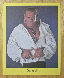 Gangrel | 1998 Cardinal WWF Trivia Game Series Card WWE - Bild 1 von 2