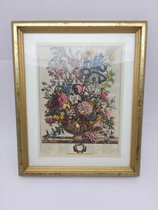 Vintage Made in CANADA Framed JUNE Floral Bouquet Botanical Prints 11” x 9” - Picture 1 of 10